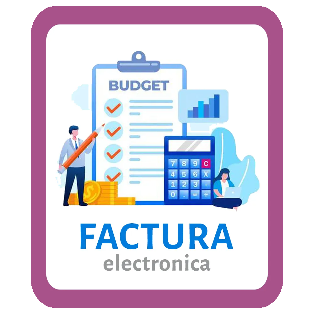 Factura Electronica